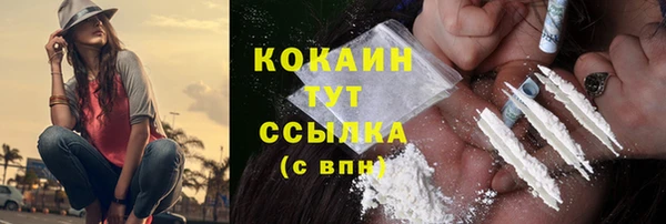 стафф Вяземский