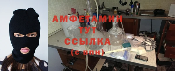 стафф Вяземский