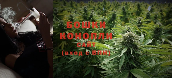 стафф Вяземский