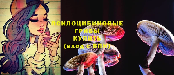 стафф Вяземский