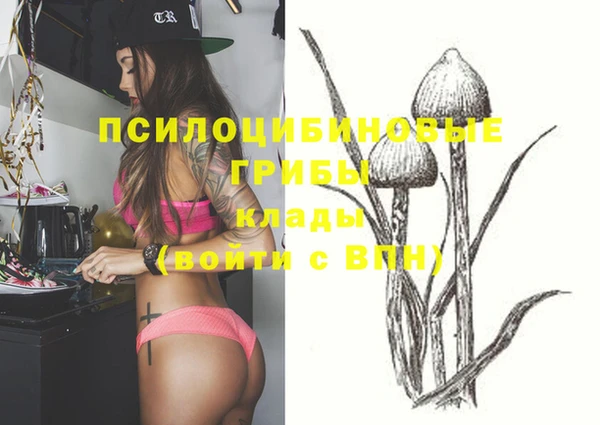 стафф Вяземский