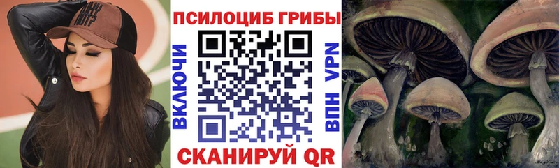 где найти наркотики  Костерёво  Псилоцибиновые грибы MAGIC MUSHROOMS 